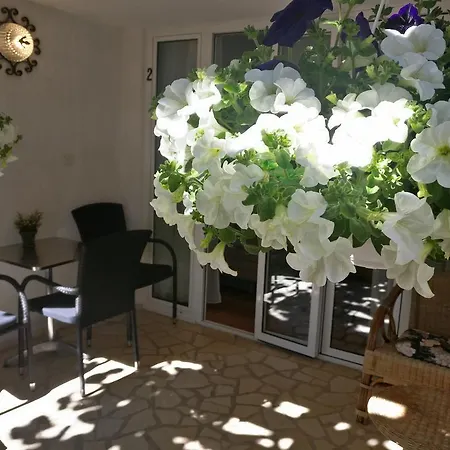 Apartament Ana -
